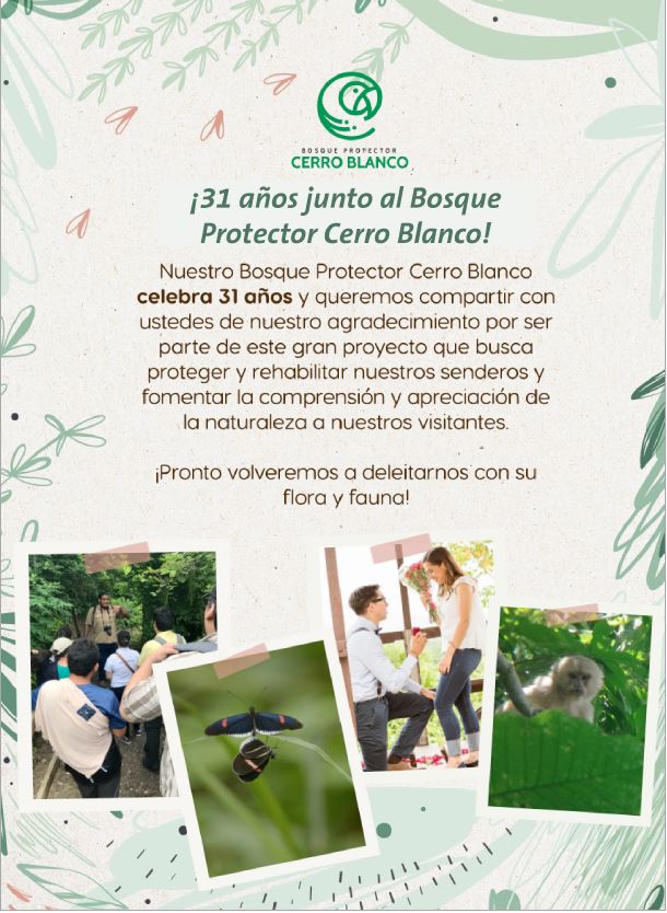 bosque bosque