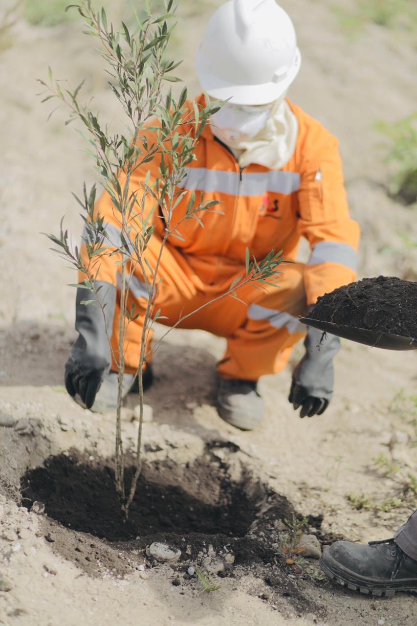 holcim latacunga1