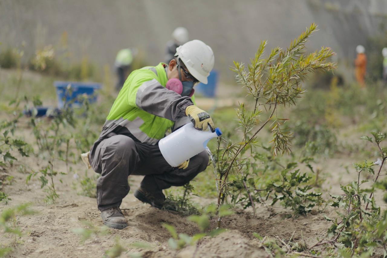 holcim latacunga2