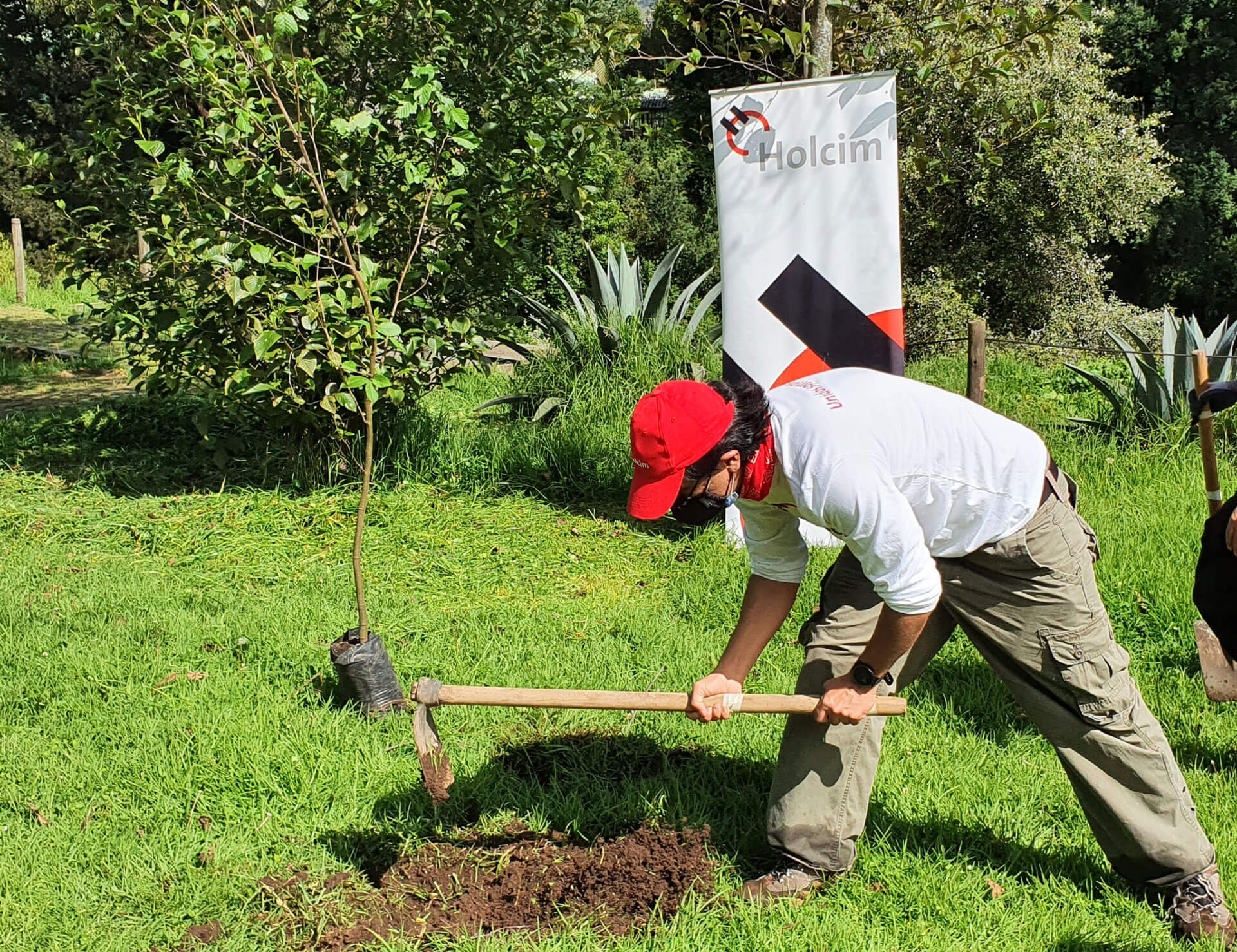 mes del ambiente holcim