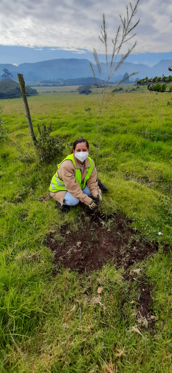 mes del ambiente holcim 1 mes del ambiente holcim 1