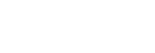 logo 105 años