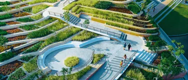 thammat urban rooftop farm