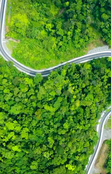 banner memoria sostenibilidad 2024 2025