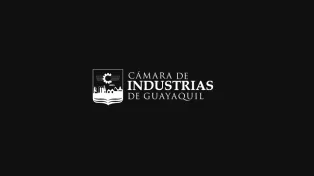 logo negro camara de industrias.png
