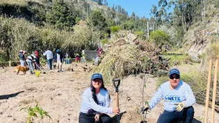 reforestacion latacunga