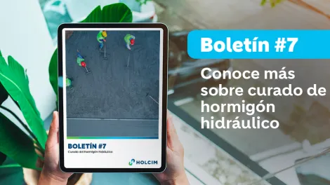 boletin7 expertos portada