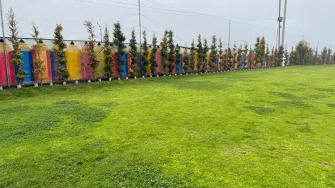 educación sostenbilidad y economía