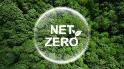 net zero