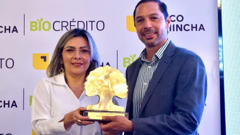 pioneros en sostenibilidad