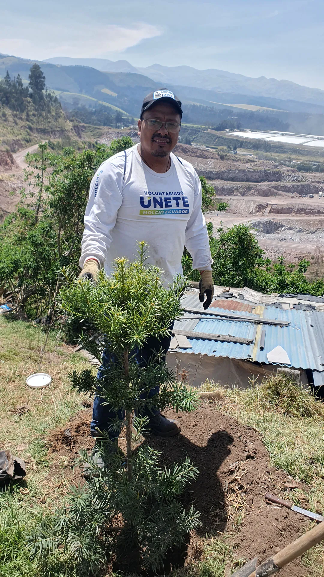 Voluntariado de reforestación