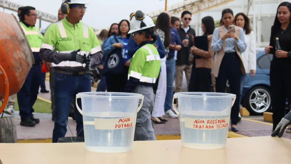 Simbiosis Tesalia historia