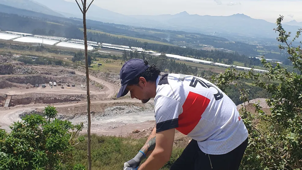 Voluntariado de reforestación
