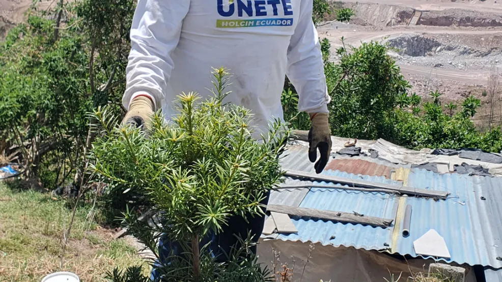 Voluntariado de reforestación