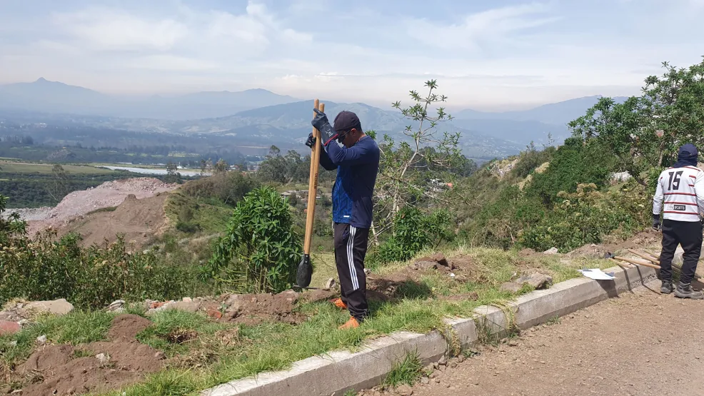 Voluntariado de reforestación