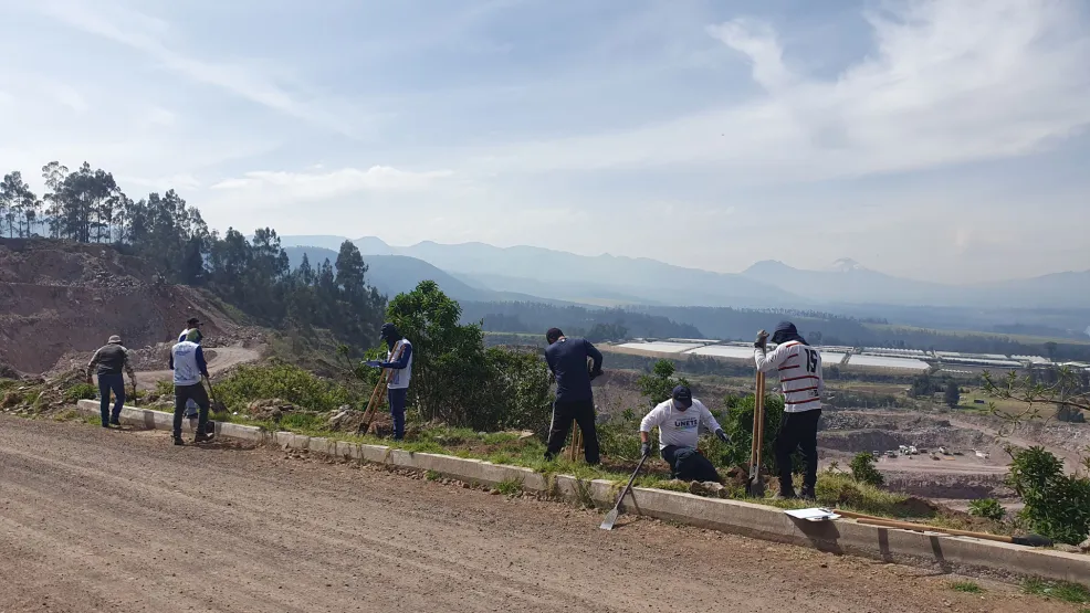 Voluntariado de reforestación