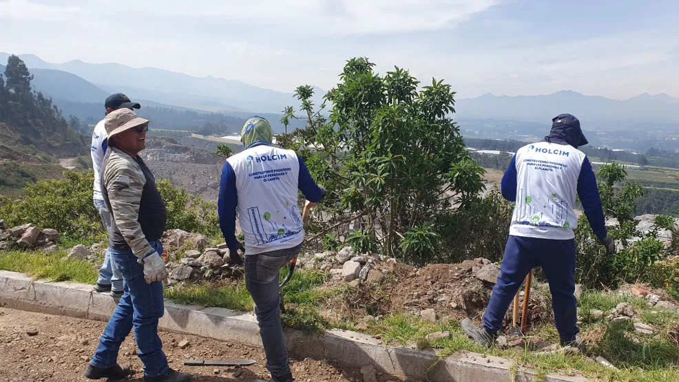 Voluntariado de reforestación