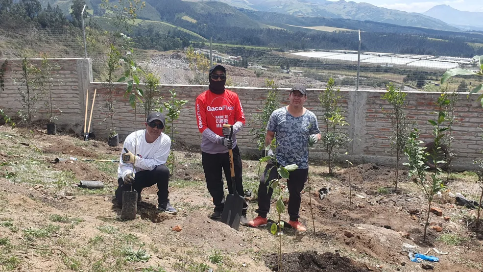Voluntariado de reforestación