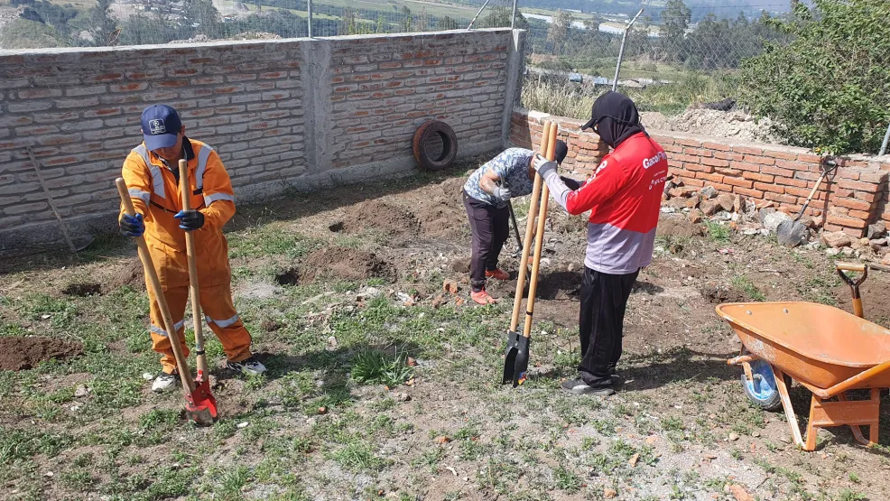 Voluntariado de reforestación