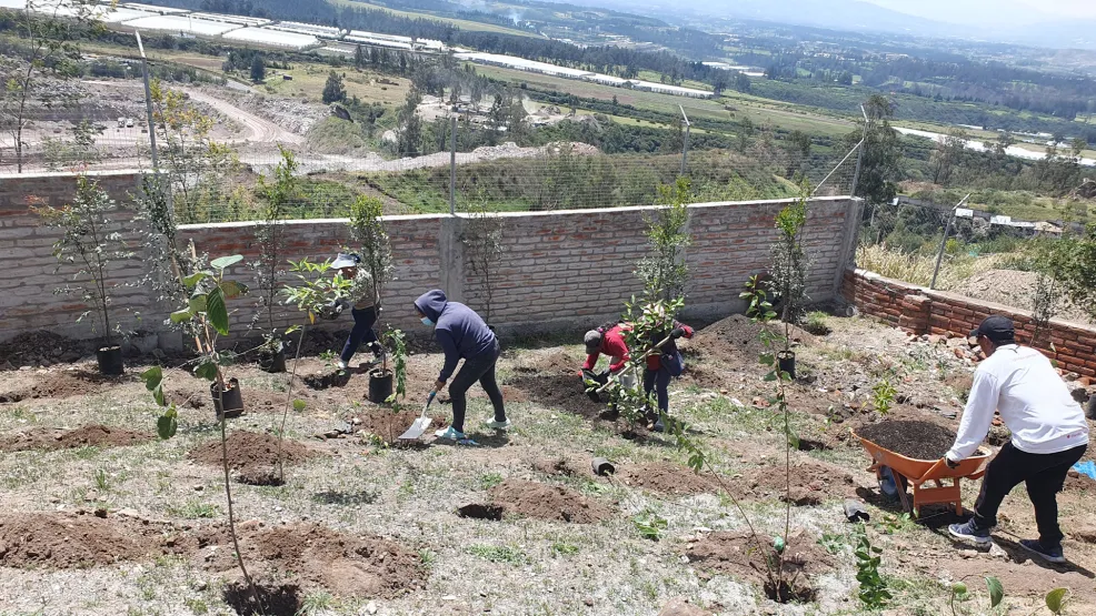 Voluntariado de reforestación