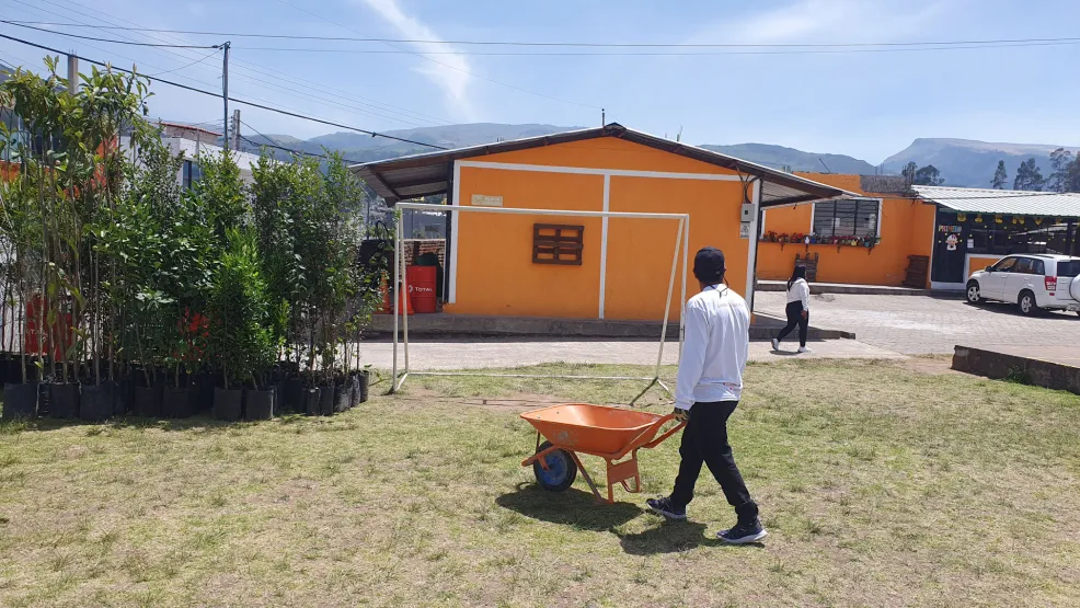 Voluntariado de reforestación