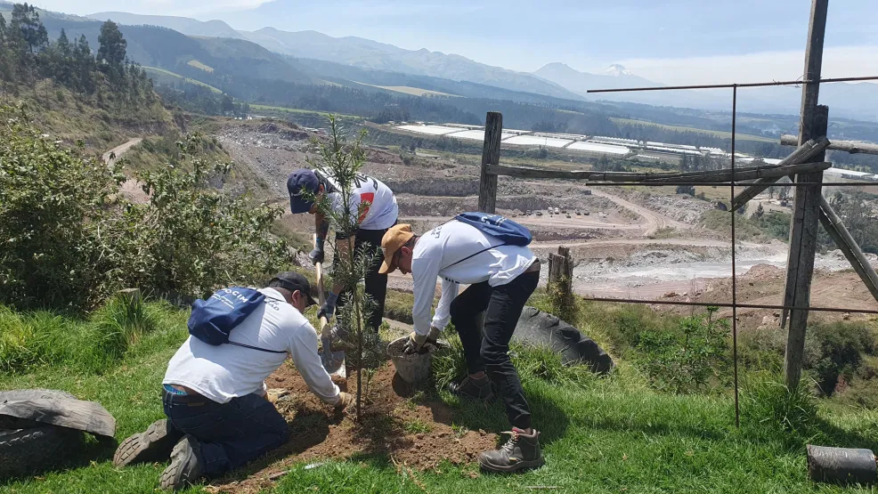 Voluntariado de reforestación